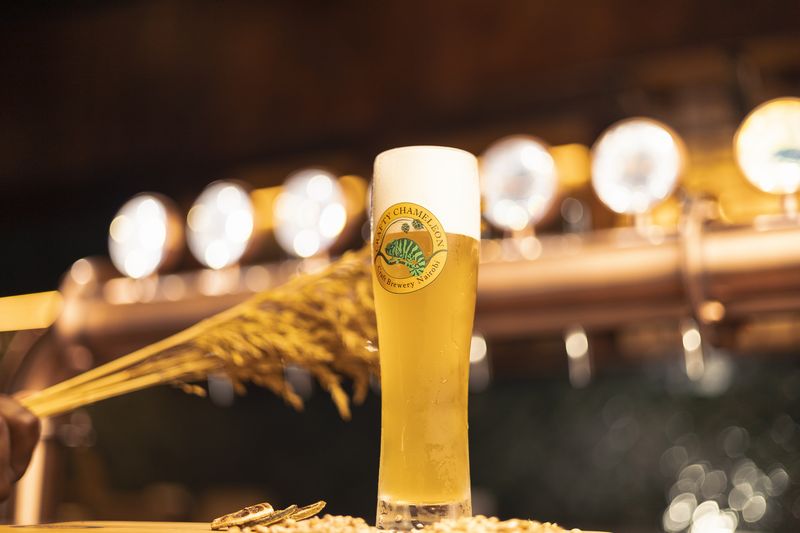 Tall pilsner with wheat