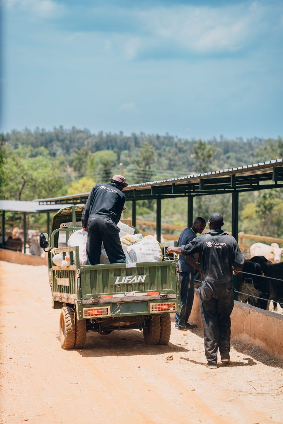 Workers in black Oltotoi Ranch coveralls around a green Lifan utility truck loaded with feed sacks