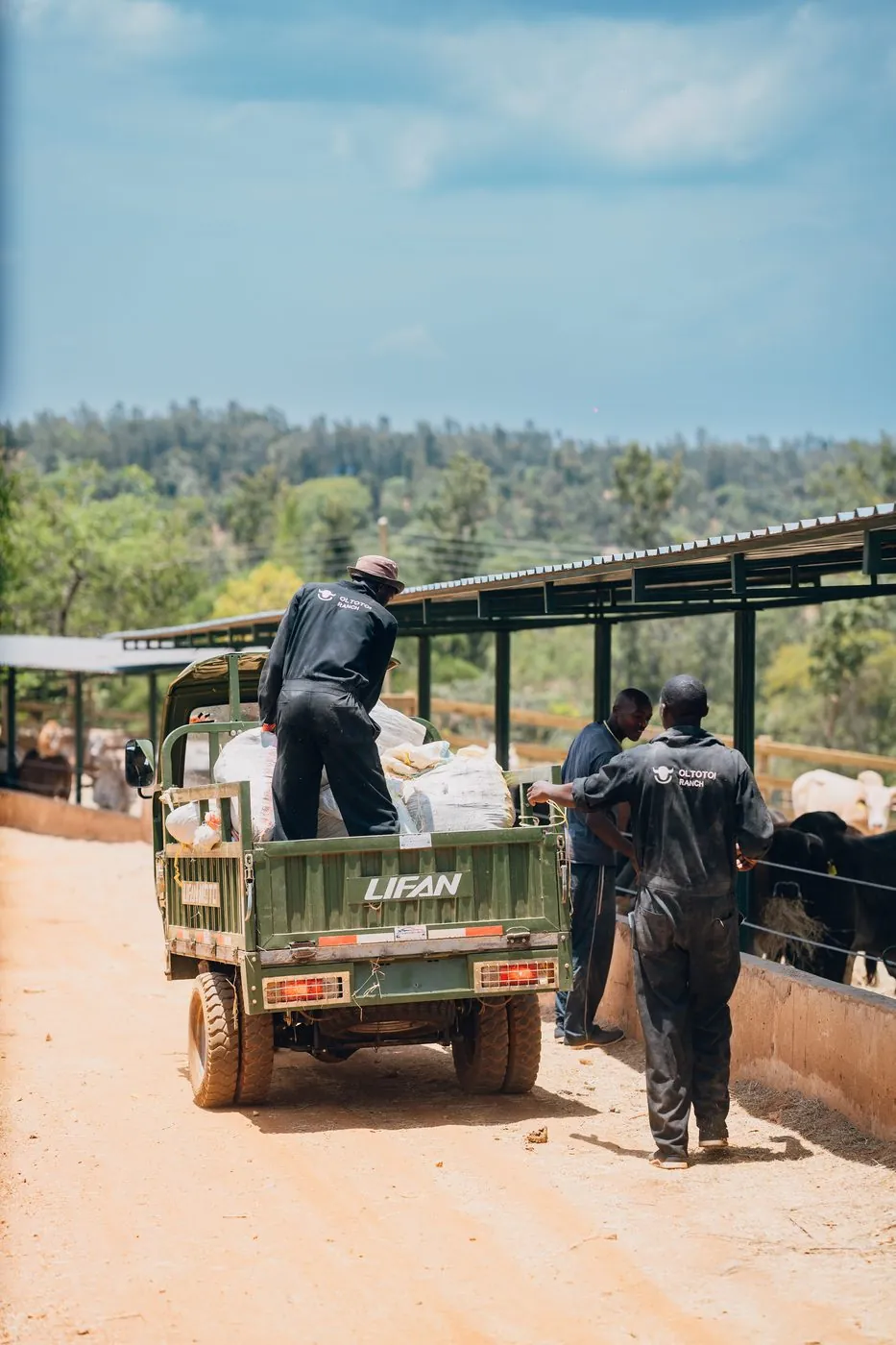 Workers in black Oltotoi Ranch coveralls around a green Lifan utility truck loaded with feed sacks