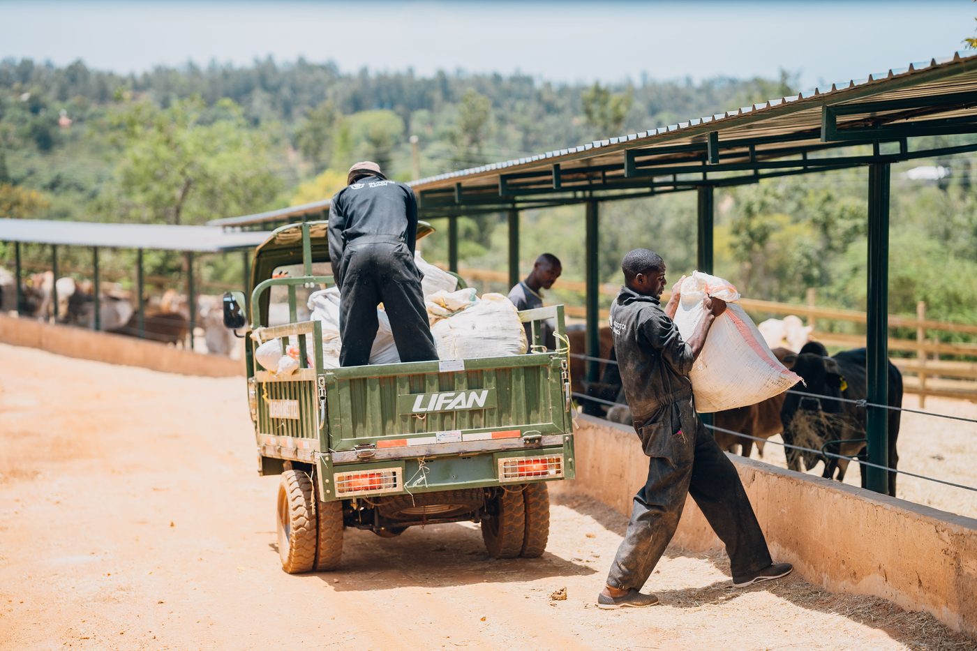 Two workers offloading feed sacks from the back of a green Lifan truck while another carries a full sack into the alley