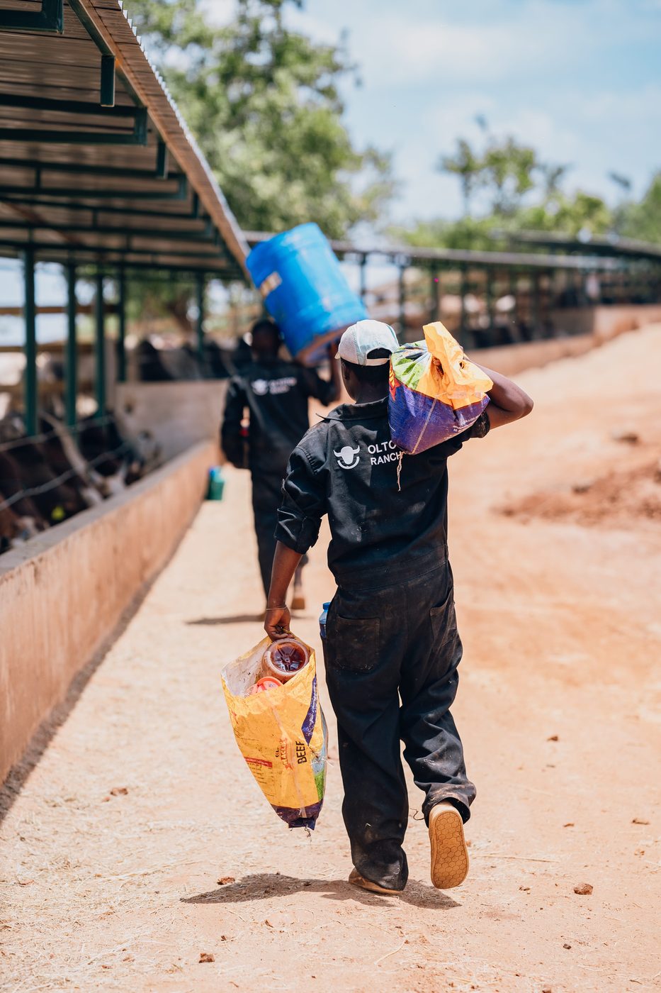 Two workers walking the sun-bleached path along the feed alley with a jerrycan and printed feed sack on their shoulders