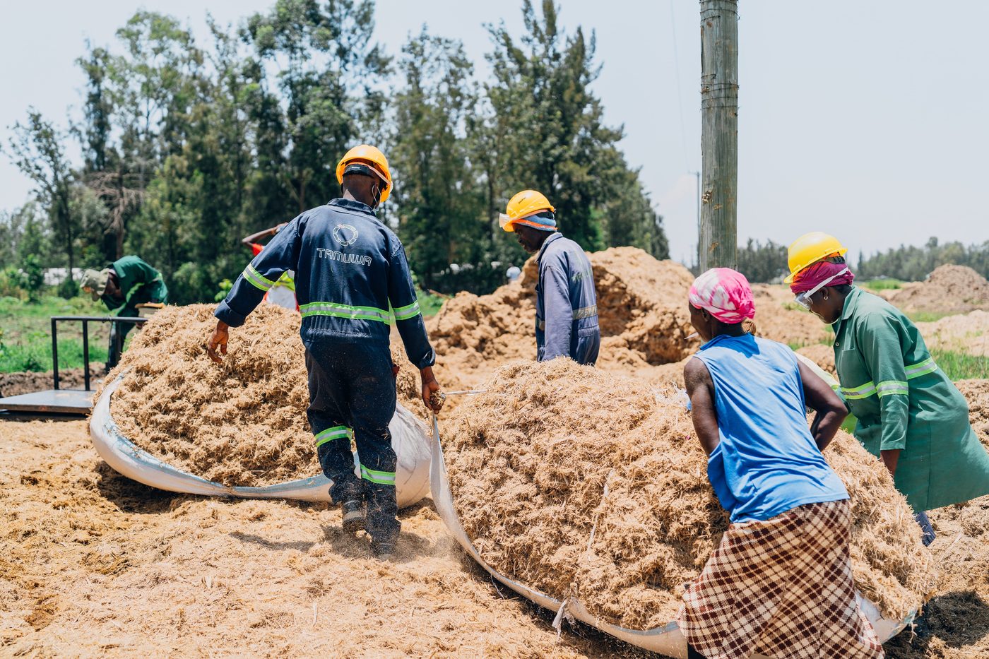 Tamuwa team handling biomass under open sky