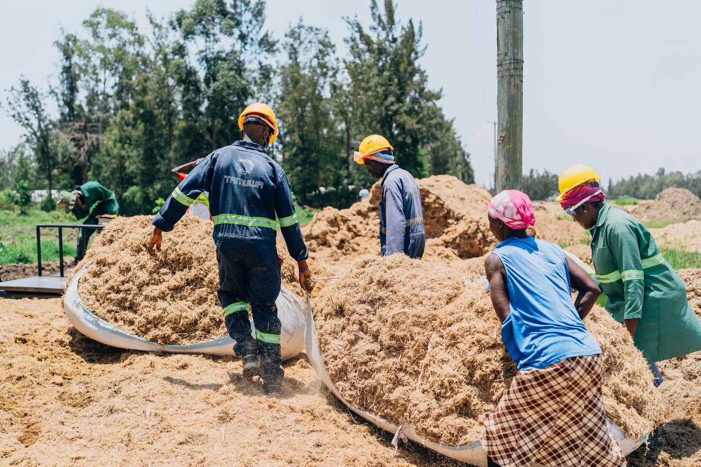 Tamuwa team handling biomass under open sky